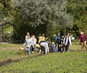 Jesień w polu i zagrodzie. Etnograficzny festiwal kultury ludowej 2022 - fotorelacja Jesień w polu i zagrodzie. Etnograficzny festiwal kultury ludowej 2022 - fotorelacja