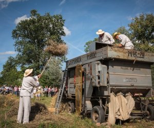 XVIII Podlaskie Święto Chleba - fotorelacja XVIII Podlaskie Święto Chleba - fotorelacja