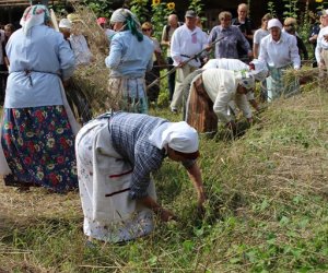 XVI Podlaskie Święto Chleba XVI Podlaskie Święto Chleba
