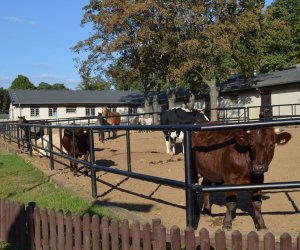 Seminarium historyczne - "Polskie muzealnictwo rolnicze - 140 lat działalności i doświadczeń" Seminarium historyczne - "Polskie muzealnictwo rolnicze - 140 lat działalności i doświadczeń"