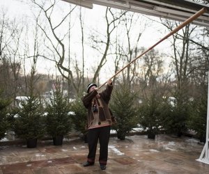 LIGAWKI 2016 - Fotorelacja z konkursu LIGAWKI 2016 - Fotorelacja z konkursu