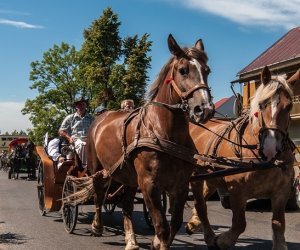 XV Podlaskie Święta Chleba w Muzeum Rolnictwa im. ks. Krzysztofa Kluka w Ciechanowcu XV Podlaskie Święta Chleba w Muzeum Rolnictwa im. ks. Krzysztofa Kluka w Ciechanowcu