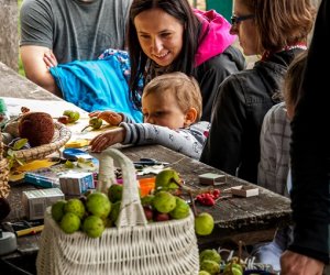 Jesień w polu i zagrodzie Jesień w polu i zagrodzie