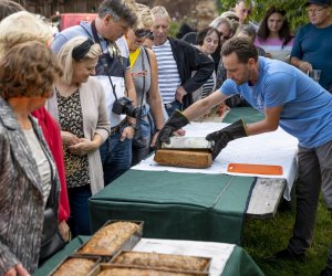 „Jesień w polu i zagrodzie” 2023 r. - fotorelacja i podsumowanie „Jesień w polu i zagrodzie” 2023 r. - fotorelacja i podsumowanie