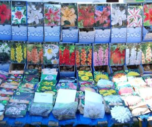 JARMARK ŚWIĘTEGO WOJCIECHA W MUZEUM ROLNICTWA W CIECHANOWCU JARMARK ŚWIĘTEGO WOJCIECHA W MUZEUM ROLNICTWA W CIECHANOWCU