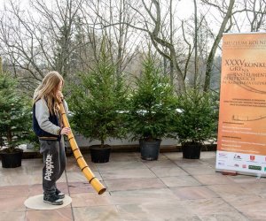 Galeria z 5 grudnia 2015 Galeria z 5 grudnia 2015