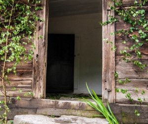 Zielone Świątki Zielone Świątki