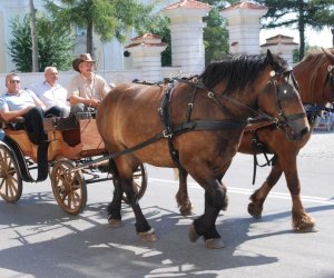 IX Podlaskie Święto Chleba IX Podlaskie Święto Chleba