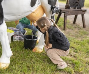 Muzeum Rolnictwa po raz kolejny na Pikniku Poznaj Dobrą Żywność Muzeum Rolnictwa po raz kolejny na Pikniku Poznaj Dobrą Żywność