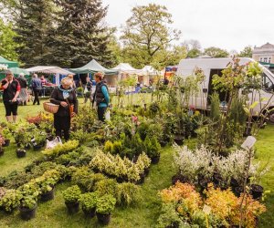 Jarmark Św. Wojciecha i Festyn Leśny 2014 Jarmark Św. Wojciecha i Festyn Leśny 2014