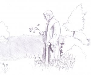 Rośliny Lecznicze Rośliny Lecznicze