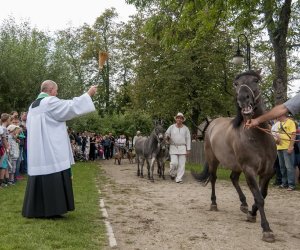 XVI Podlaskie Święto Chleba XVI Podlaskie Święto Chleba