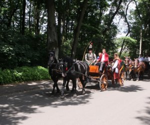 VIII Zajazd Wysokomazowiecki, 15.07.2012. VIII Zajazd Wysokomazowiecki, 15.07.2012.