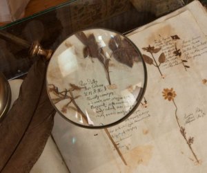 „Najciekawsze nabytki Muzeum Rolnictwa ostatnich kilku lat.”