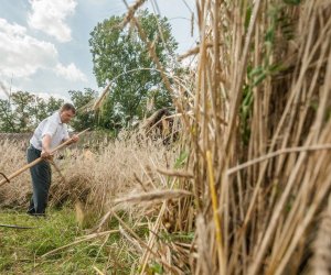 Święto Chleba po raz trzynasty Święto Chleba po raz trzynasty