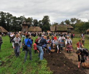 Wykopki w Skansenie Wykopki w Skansenie