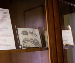 DZIAŁ HISTORYCZNY DZIAŁ HISTORYCZNY