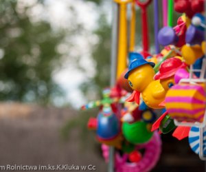 Odpust na św. Antoniego 2016 Odpust na św. Antoniego 2016