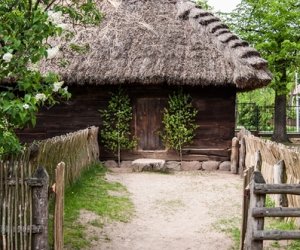 Ludowe Zielone Świątki - święto kościelne Zesłania Ducha Świętego, zamykającego cykl Wielkanocy 15 maja 2016 r. Ludowe Zielone Świątki - święto kościelne Zesłania Ducha Świętego, zamykającego cykl Wielkanocy 15 maja 2016 r.