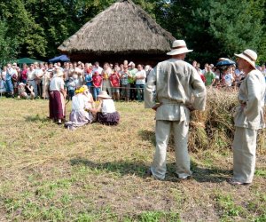X PODLASKIE ŚWIĘTO CHLEBA