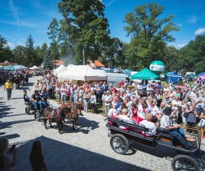 XVIII Podlaskie Święto Chleba - fotorelacja XVIII Podlaskie Święto Chleba - fotorelacja