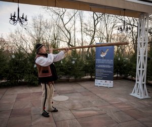 XXXIX Konkurs Gry na Instrumentach Pasterskich - fotorelacja XXXIX Konkurs Gry na Instrumentach Pasterskich - fotorelacja