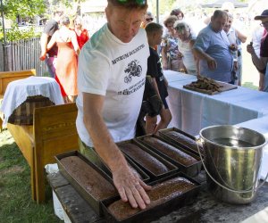 XXII Podlaskie Święto Chleba - fotorelacja XXII Podlaskie Święto Chleba - fotorelacja