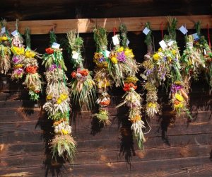 IX Podlaskie Święto Chleba IX Podlaskie Święto Chleba