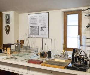 Muzeum Weterynarii Muzeum Weterynarii