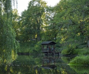 XVI Podlaskie Święto Chleba XVI Podlaskie Święto Chleba