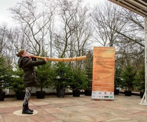 Galeria z 5 grudnia 2015 Galeria z 5 grudnia 2015