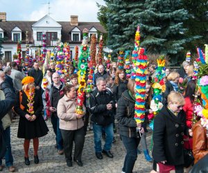 Galeria - Niedziela Palmowa 2015 Galeria - Niedziela Palmowa 2015