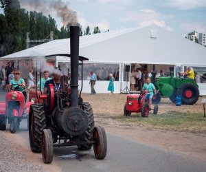 Muzeum na Pikniku Poznaj Dobrą Żywność