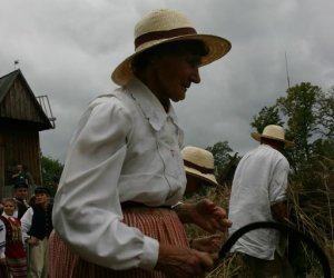 VIII PODLASKIE ŚWIĘTO CHLEBA VIII PODLASKIE ŚWIĘTO CHLEBA