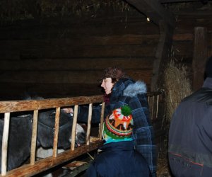 Szopka Bożonarodzeniowa