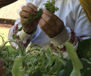 Wianki w Oktawę Bożego Ciała Wianki w Oktawę Bożego Ciała