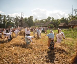 XIX Podlaskie Święto Chleba - fotorelacja XIX Podlaskie Święto Chleba - fotorelacja
