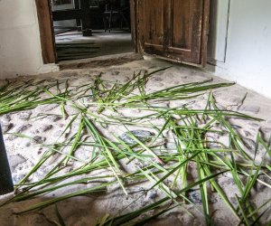 Zielone Świątki Zielone Świątki