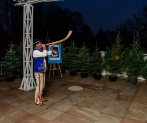 Galeria z 5 grudnia 2015