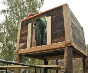 Rekonstrukcja sernika - zatraconego obiektu małej architektury Rekonstrukcja sernika - zatraconego obiektu małej architektury