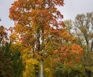 NIECOdziennik muzealny - Wieś w październiku NIECOdziennik muzealny - Wieś w październiku