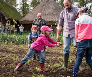 Impreza plenerowa - Jesień w Polu i Zagrodzie Impreza plenerowa - Jesień w Polu i Zagrodzie