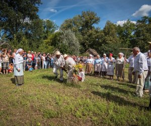 XVIII Podlaskie Święto Chleba - fotorelacja XVIII Podlaskie Święto Chleba - fotorelacja