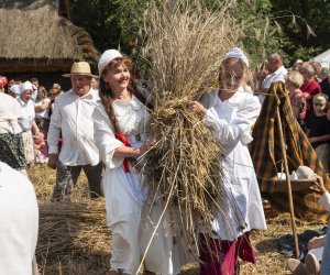 XXIII Podlaskie Święto Chleba - fotorelacja XXIII Podlaskie Święto Chleba - fotorelacja