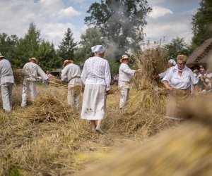 XXI Podlaskie Święto Chleba - fotorelacja XXI Podlaskie Święto Chleba - fotorelacja