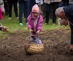 Jesień w Polu i Zagrodzie 2018 - fotorelacja Jesień w Polu i Zagrodzie 2018 - fotorelacja