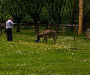 Początek wiosny w Muzeum Rolnictwa im. ks. K. Kluka w Ciechanowcu to czas dla zwierząt. Początek wiosny w Muzeum Rolnictwa im. ks. K. Kluka w Ciechanowcu to czas dla zwierząt.