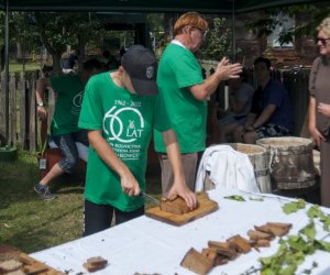 XX Podlaskie Święto Chleba - fotorelacja XX Podlaskie Święto Chleba - fotorelacja