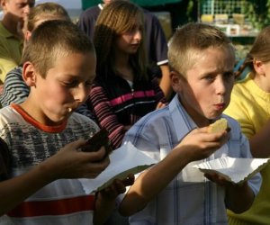 "Wykopki pod Wiatrakiem" - relacja