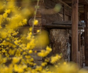 Codziennik Muzealny - Wiosna w ciechanowieckim muzeum Codziennik Muzealny - Wiosna w ciechanowieckim muzeum